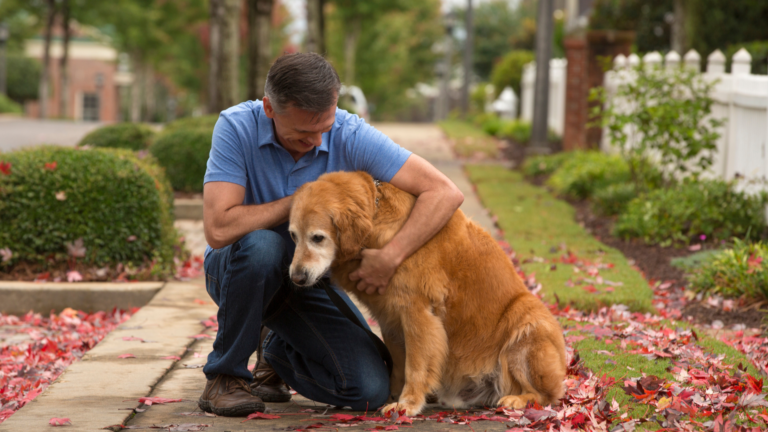 Man petting dog no link