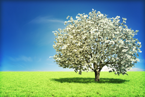 Money Tree for Trust